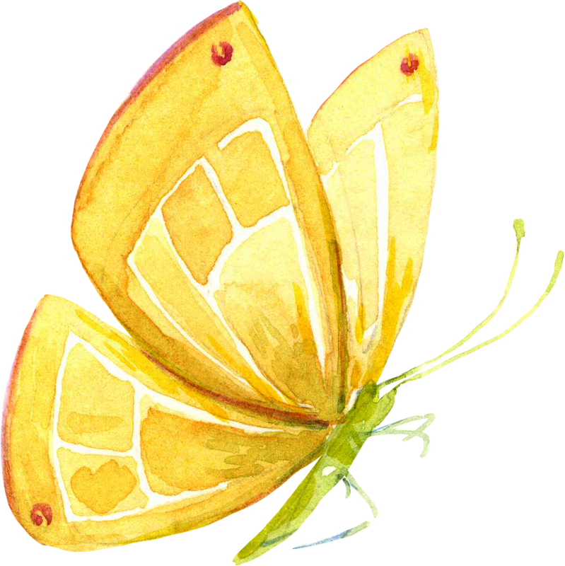 Watercolor yellow butterfly